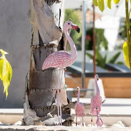 Villa Flamingo *
